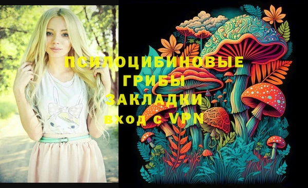 героин Алзамай