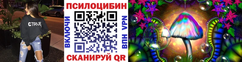 купить мега ссылка Псилоцибиновые грибы Psilocybe Красноармейск