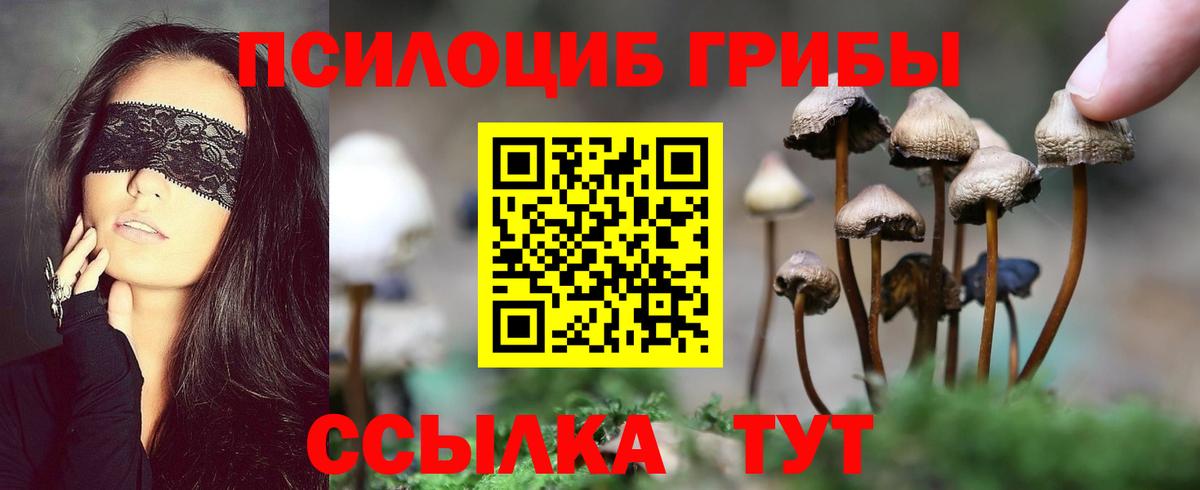 где купить   Галлюциногенные грибы GOLDEN TEACHER  Вход с VPN  Красноармейск  Псилоцибиновые грибы GOLDEN TEACHER 